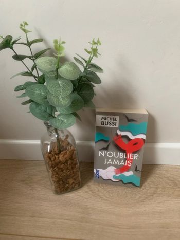 • Bussi ~ N’oublier jamais •