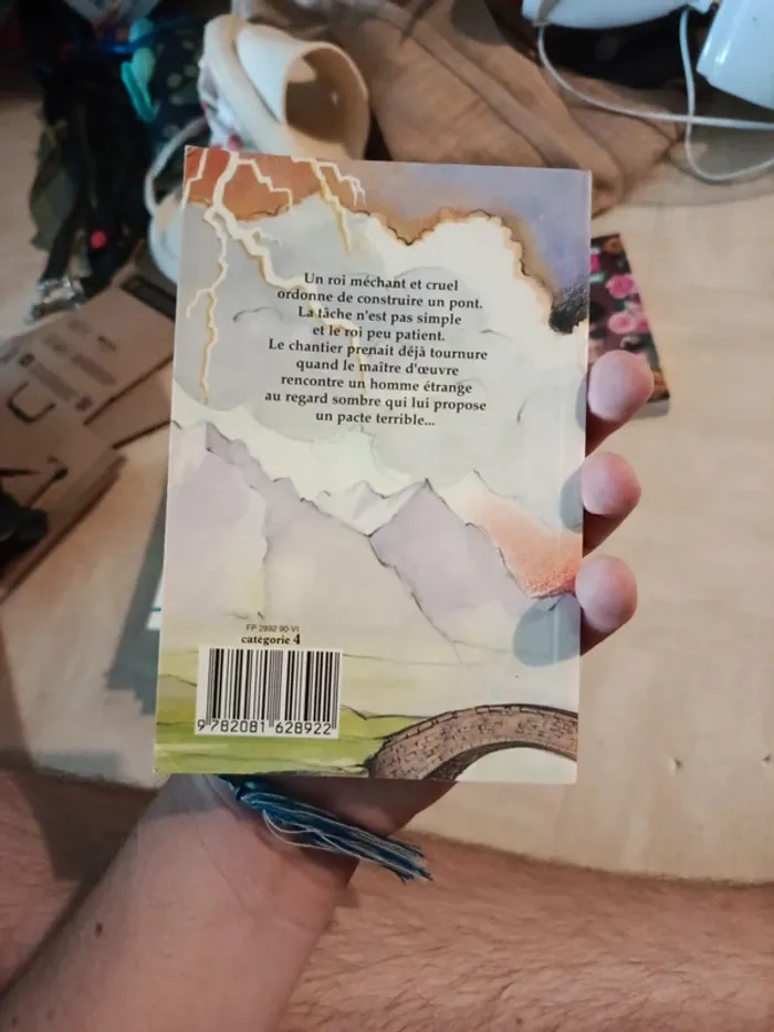 Livre le pont du diable - photo numéro 2