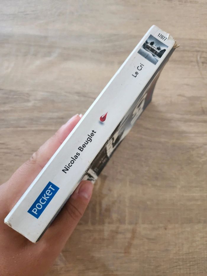Livre de poche "le cri" de Nicolas Beuglet - photo numéro 3