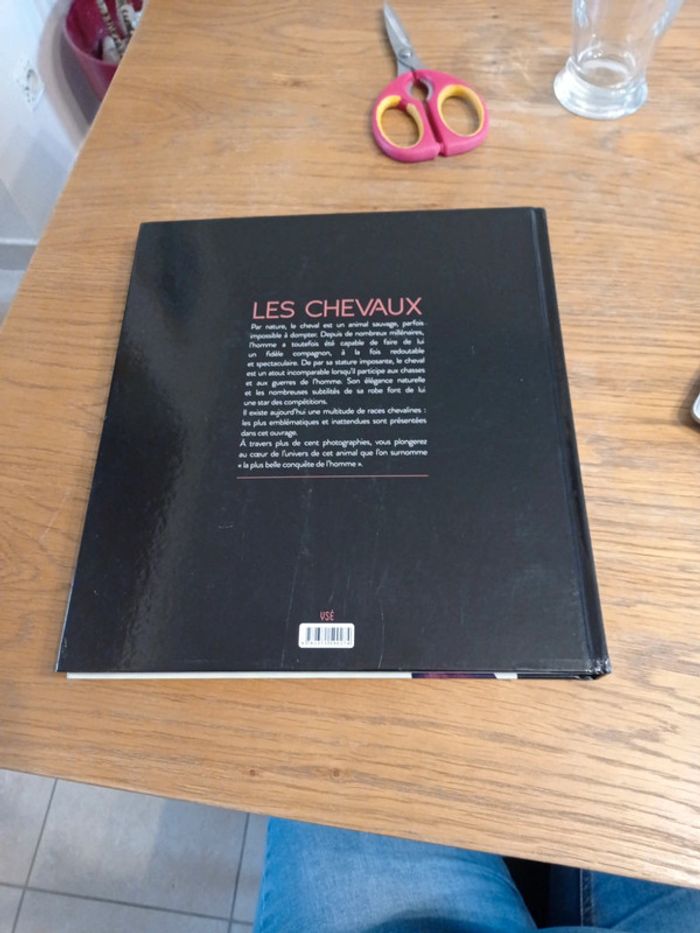 Les chevaux - photo numéro 2