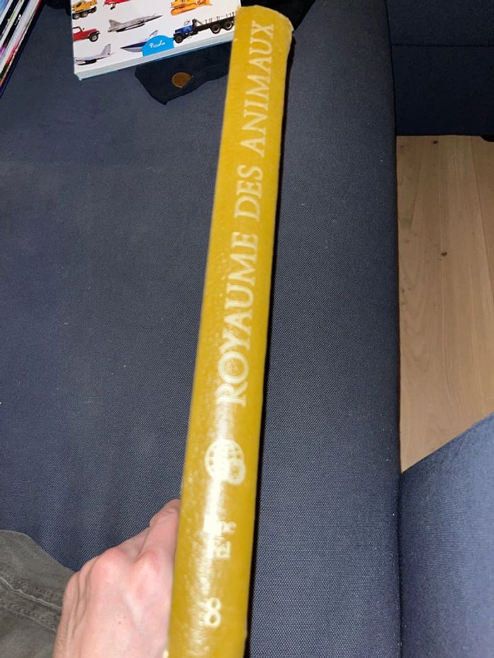 Livre pour enfants le royaume des animaux - photo numéro 2