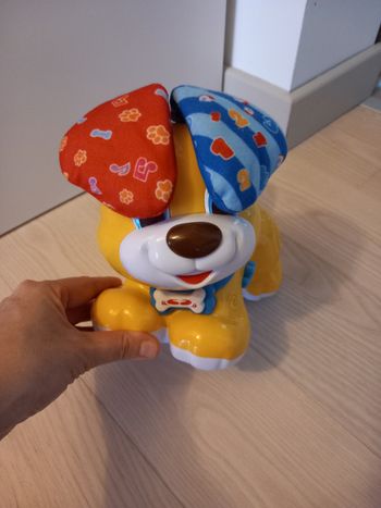 Bibou le chien qui fait coucou