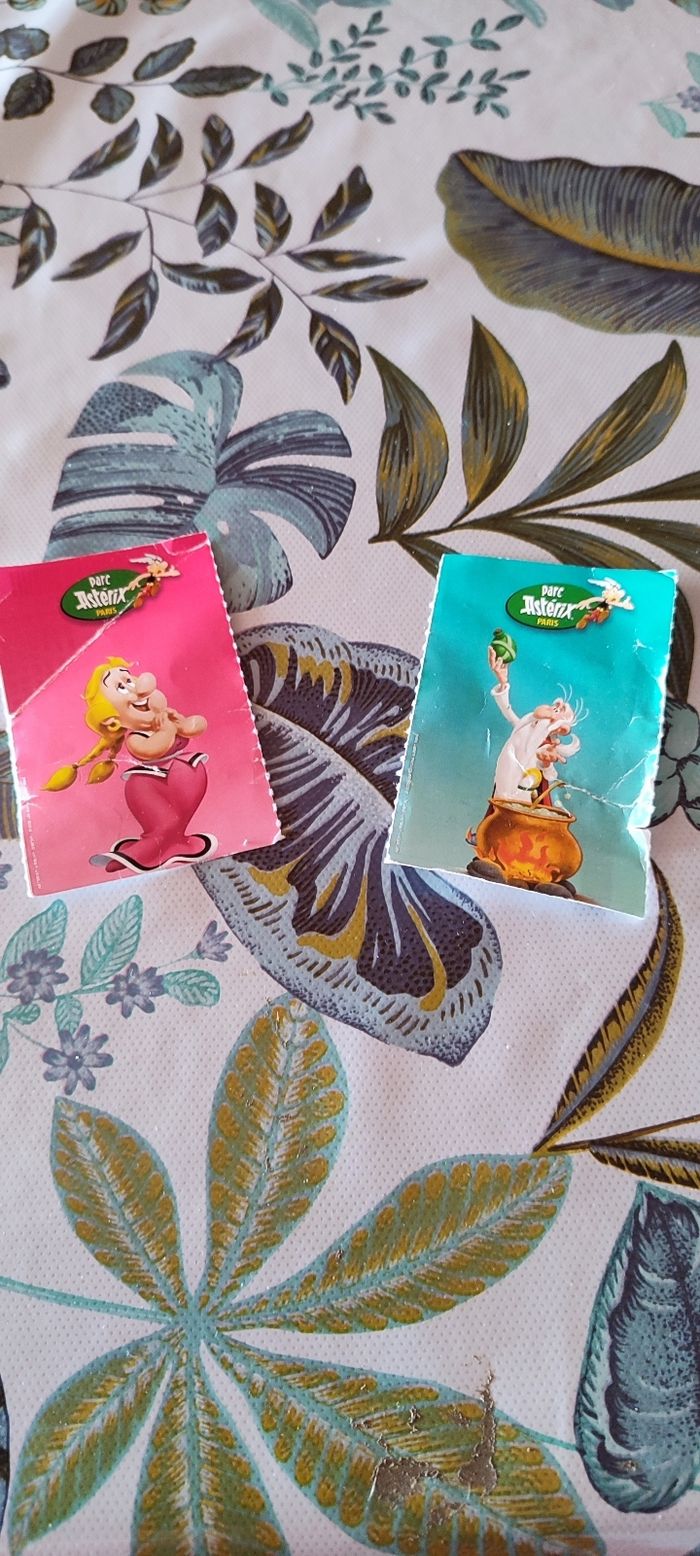 2 entrees  places pour parc Astérix