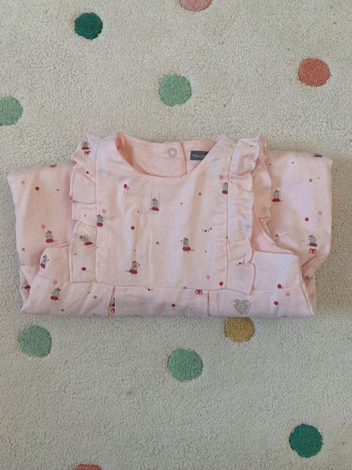 Barboteuse sergent major - photo numéro 4