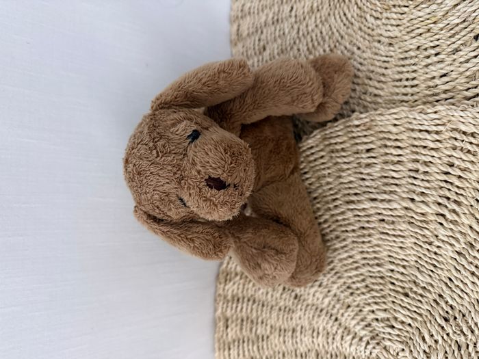 doudou chien cappy horse