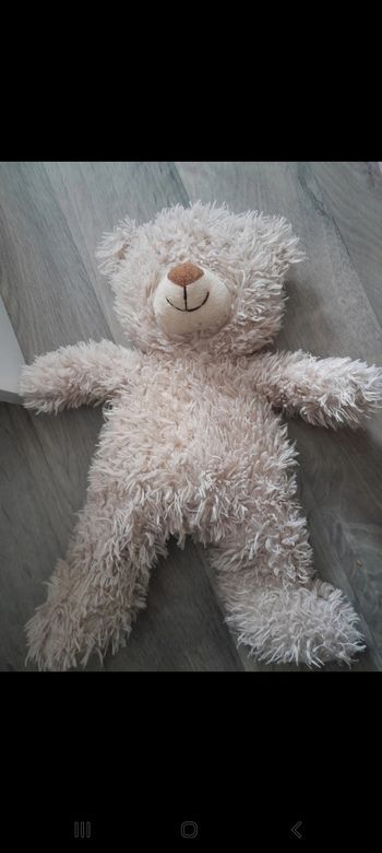 Ours peluche