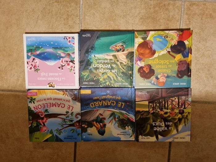 Lot de livre hachette collection - photo numéro 2