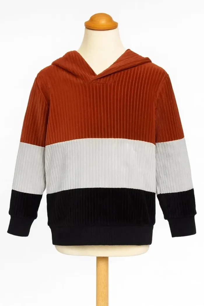 Sweat avec capuche marron blanc noir Taille 24 / 36 mois - photo numéro 2