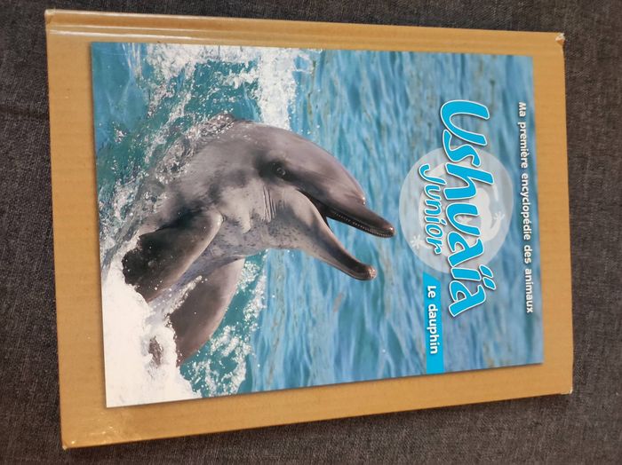 Ushuaïa junior le dauphin