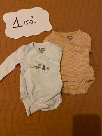 Lot 2 bodys manches longues croisés