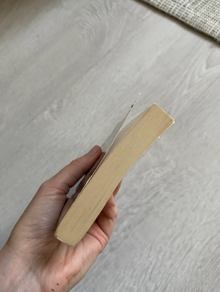 Livre Cujo Stephen King - photo numéro 6