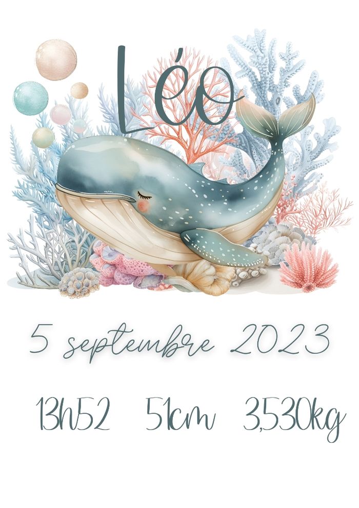 affiche naissance personnalisé - photo numéro 2