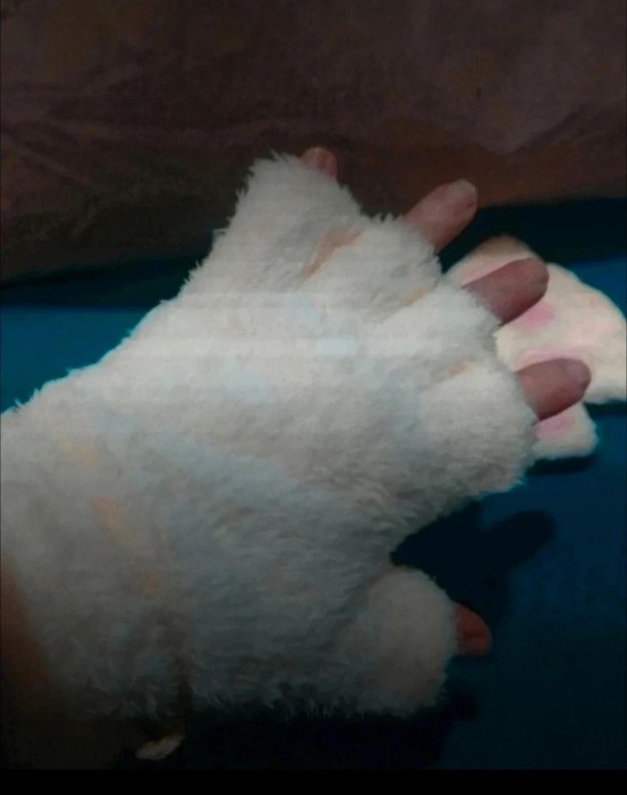 Gants mitaines pattes de chat chien ours - photo numéro 2