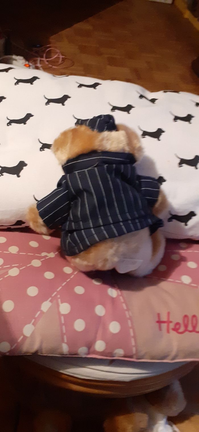 Ourson habille - photo numéro 2