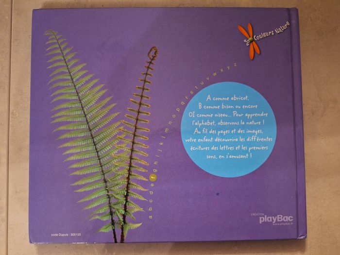 Livre Les lettres - photo numéro 2