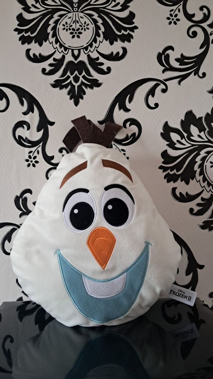 Coussin olaf - photo numéro 2