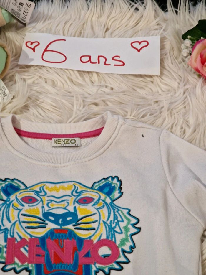 Pull tigre - photo numéro 2