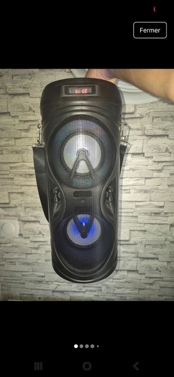 Enceinte