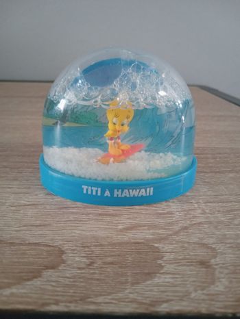 Boule à neige Titi à Hawaï