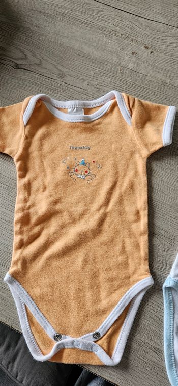 Lot de 4 bodies fille, taille 6 mois, mis
