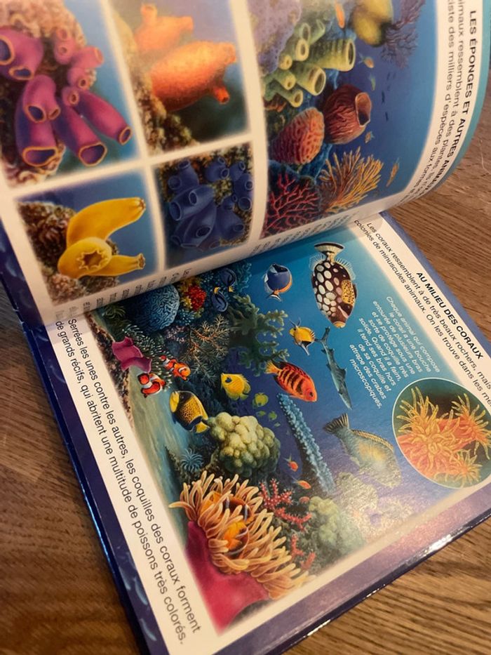 Livre Fleurus L’imagerie de la mer - photo numéro 8