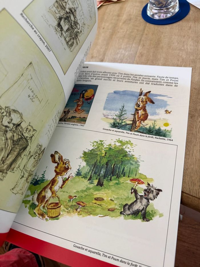 RARE Catalogue exposition Caroline L’univers de Pierre Probst livre Versailles musée - photo numéro 14