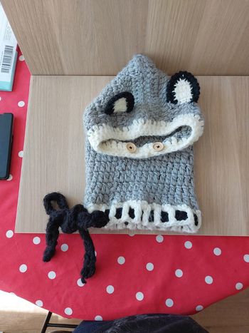 Cagoule adorable avec oreilles 😋