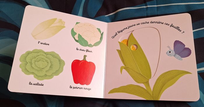 Livre Kididoc "Mon Imagier des légumes" - photo numéro 3