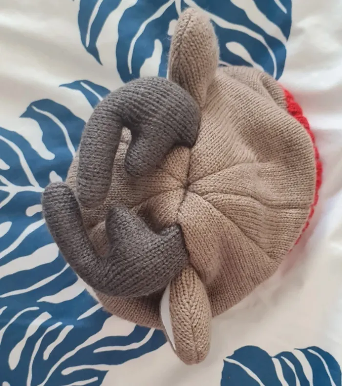 Lot bonnets - photo numéro 4