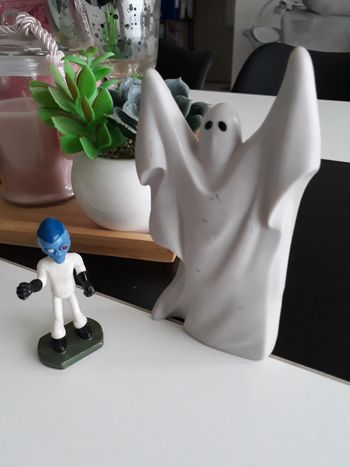 Lot figurines🌿💞