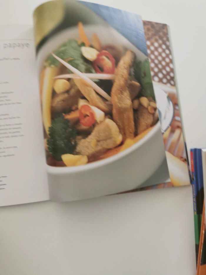 La cuisine au wok - photo numéro 4