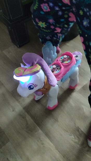 Licorne Azalée avec sa poupée Flora