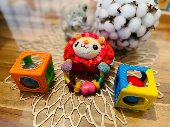 Hochet Léo le lion et cubes