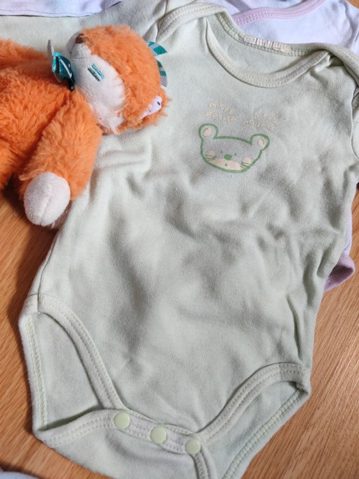 Lot de 3 bodies 3 mois - photo numéro 3