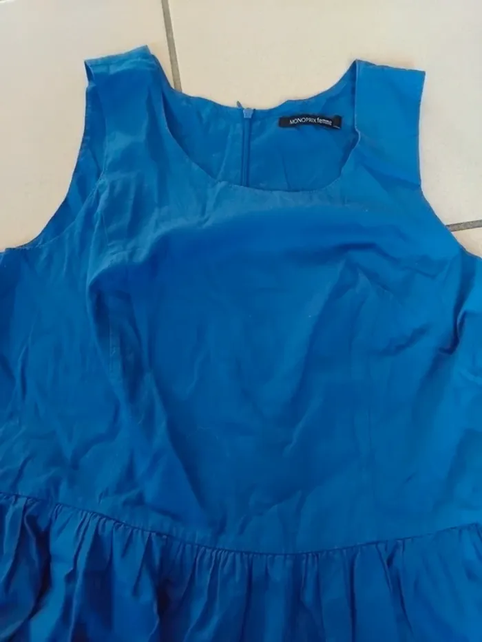 Robe bleu femelle - photo numéro 4