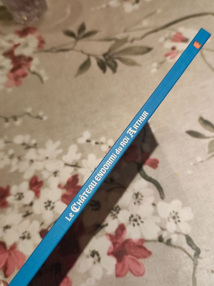 Livre : Le château endormi du Roi Arthur - photo numéro 2