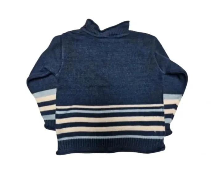Pull Idéfix - photo numéro 2