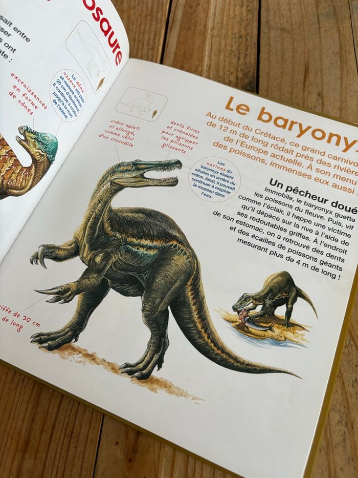 Les dinosaures - photo numéro 6
