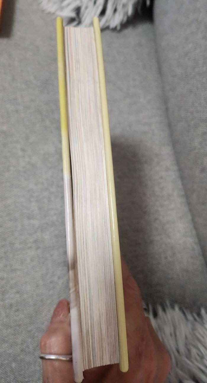 Livre party snacks petits raffinements pour les receptions et les fêtes - photo numéro 3