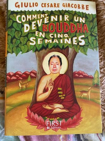 Comment devenir un Bouddha en cinq semaines