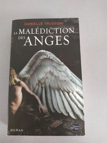 La malédiction des anges