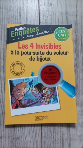 Joli livre d enquêtes et de révisions CE2 et CM1
