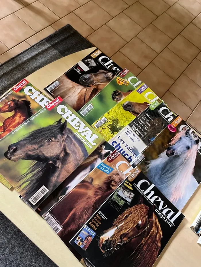 10 magazines sur les chevaux