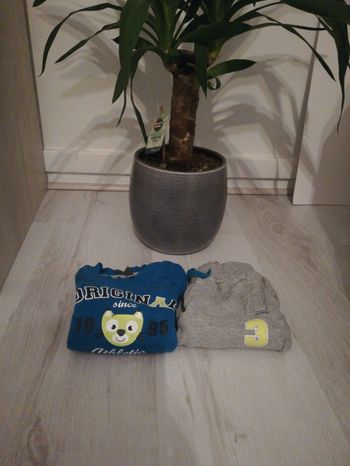 Ensemble survetement