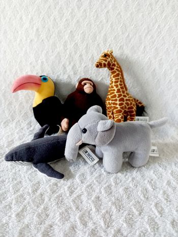 Peluches Édition Atlas 