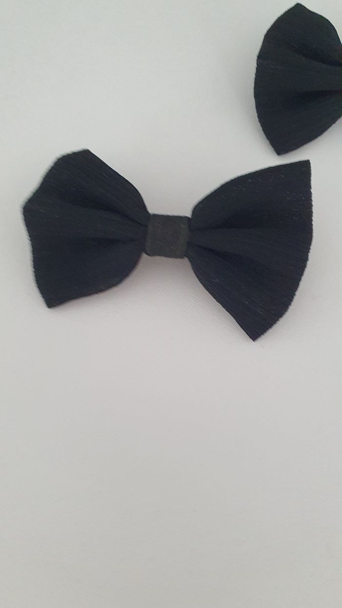 2 Barrettes - photo numéro 2