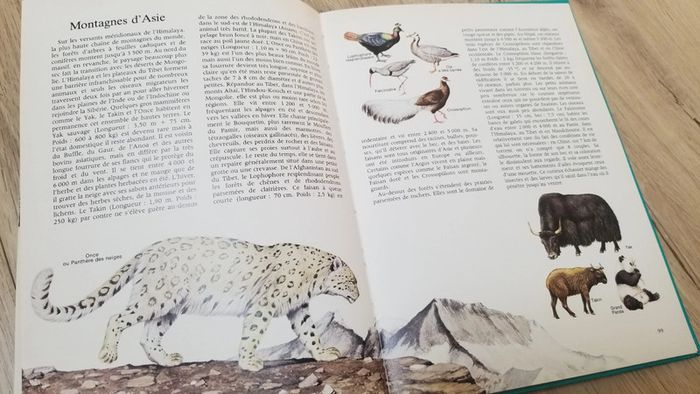 La nature autour du monde livre - photo numéro 8