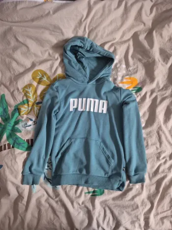 Pull puma
