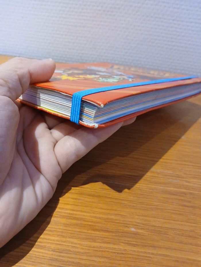 Pokemon la maxi-integrale ! - photo numéro 6