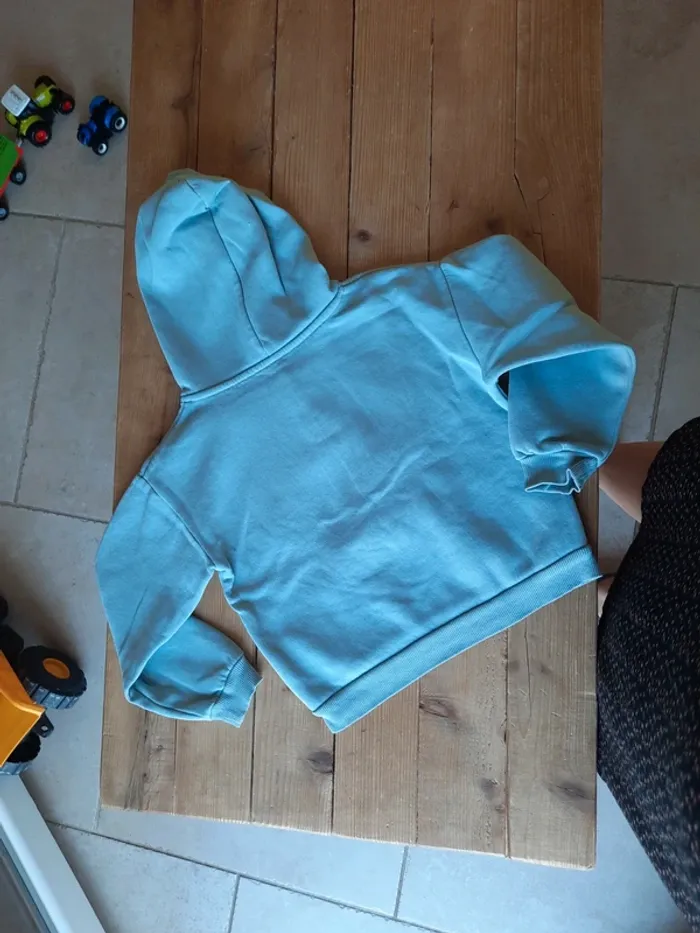 Sweat à capuche - photo numéro 4